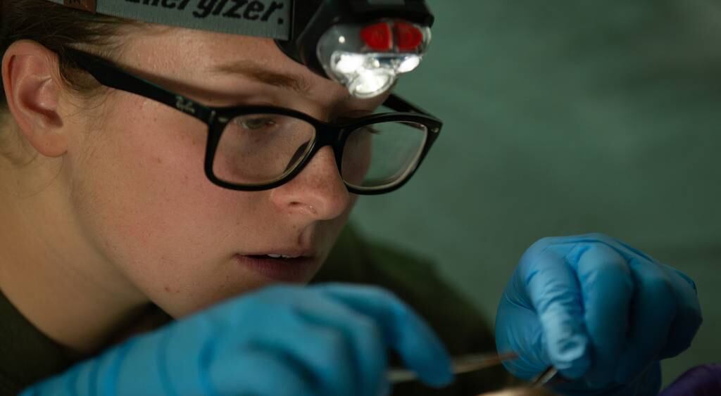 Prognosis Good For Navy Medicine But Budget Concerns Loom